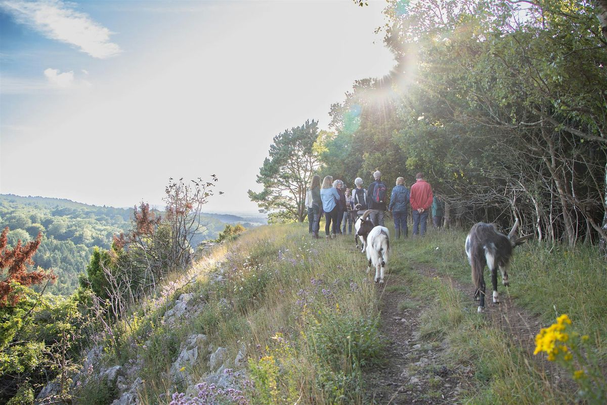 Avon Wildlife Trust Annual General Meeting 2024