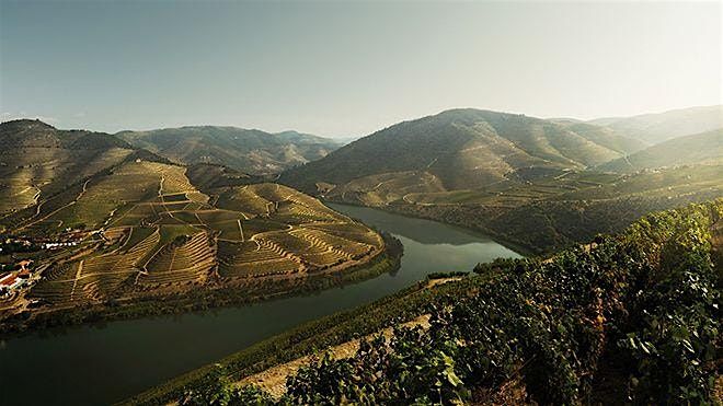 Explore the Wines of Portugal