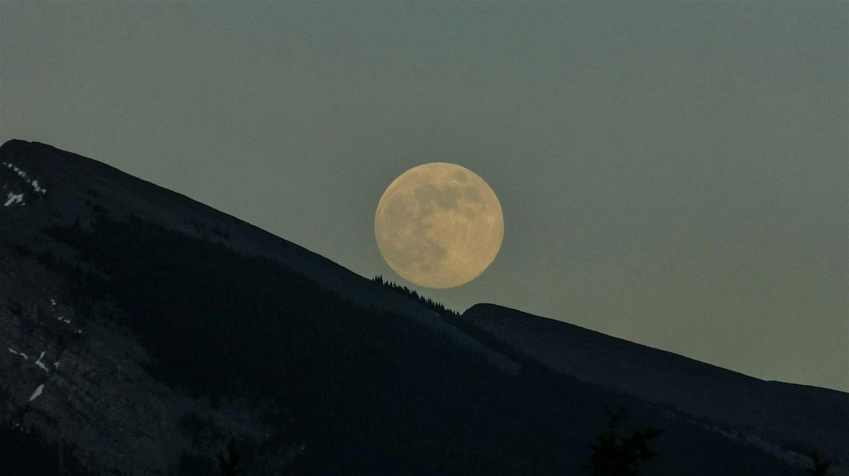 Full Moon Sound Bath at Ivy Gallery