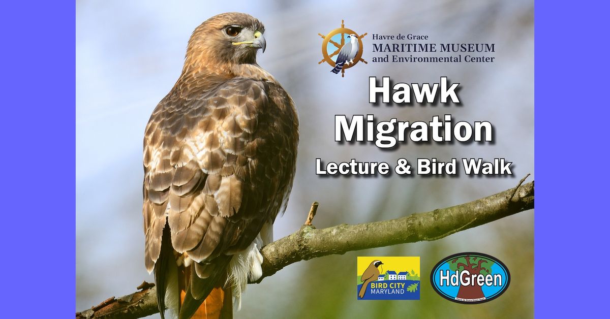 Hawk Migration Lecture & Bird Walk