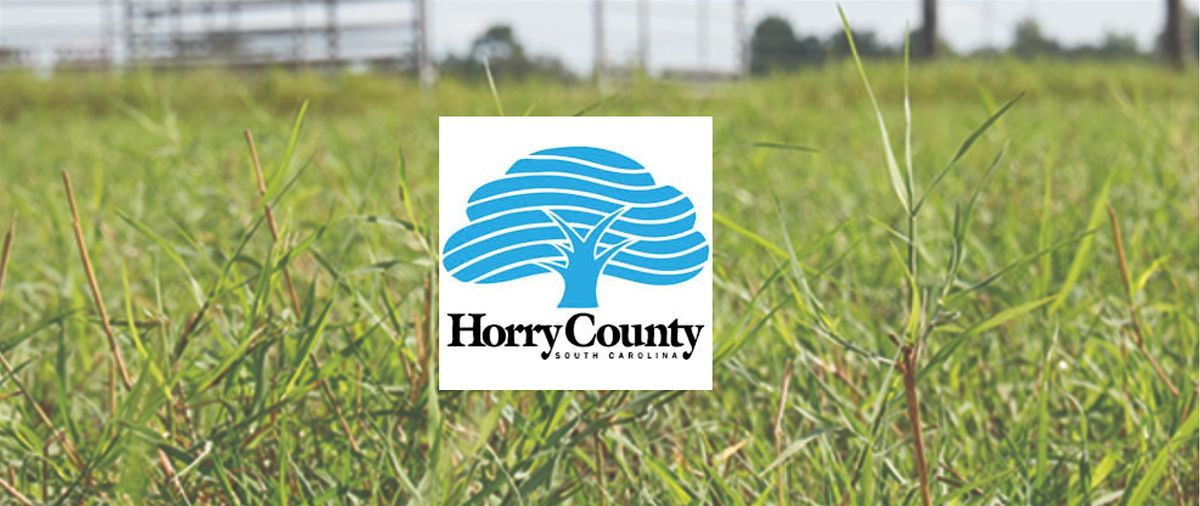 So, you bought land in Horry County? Session Ten