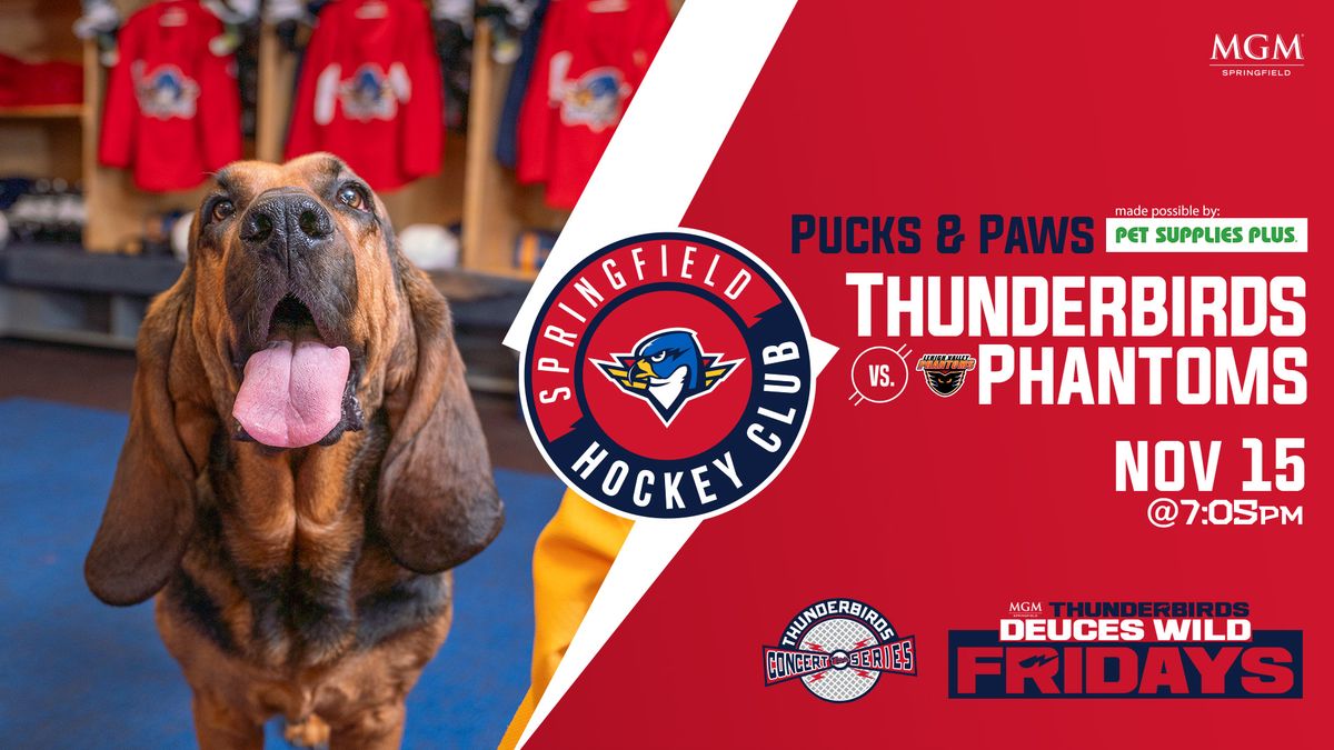 Springfield Thunderbirds vs. Lehigh Valley Phantoms