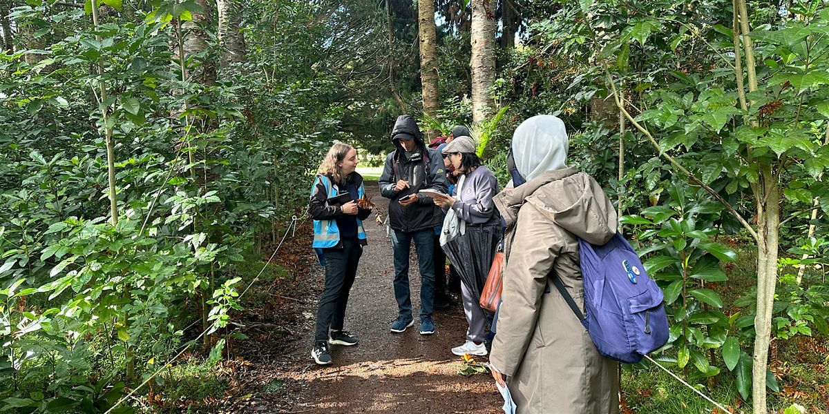 Guided Walk: Ecology Identification