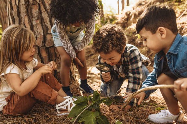 Forest Friends Friday