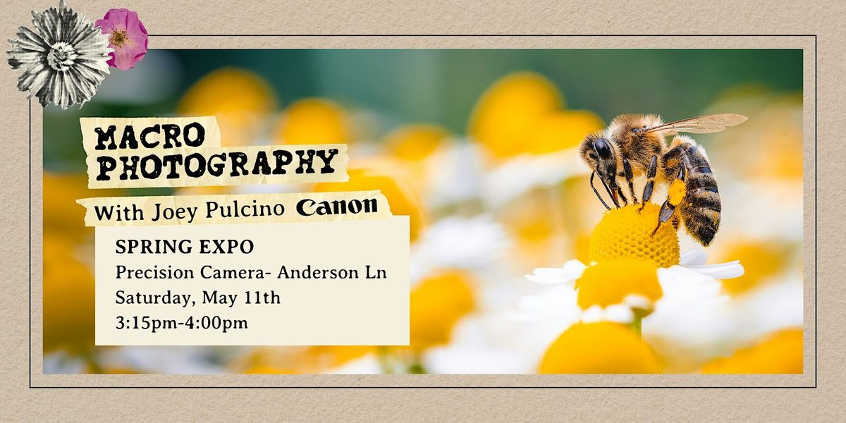 Macro Photography with Joey Pulcino | CANCELLED