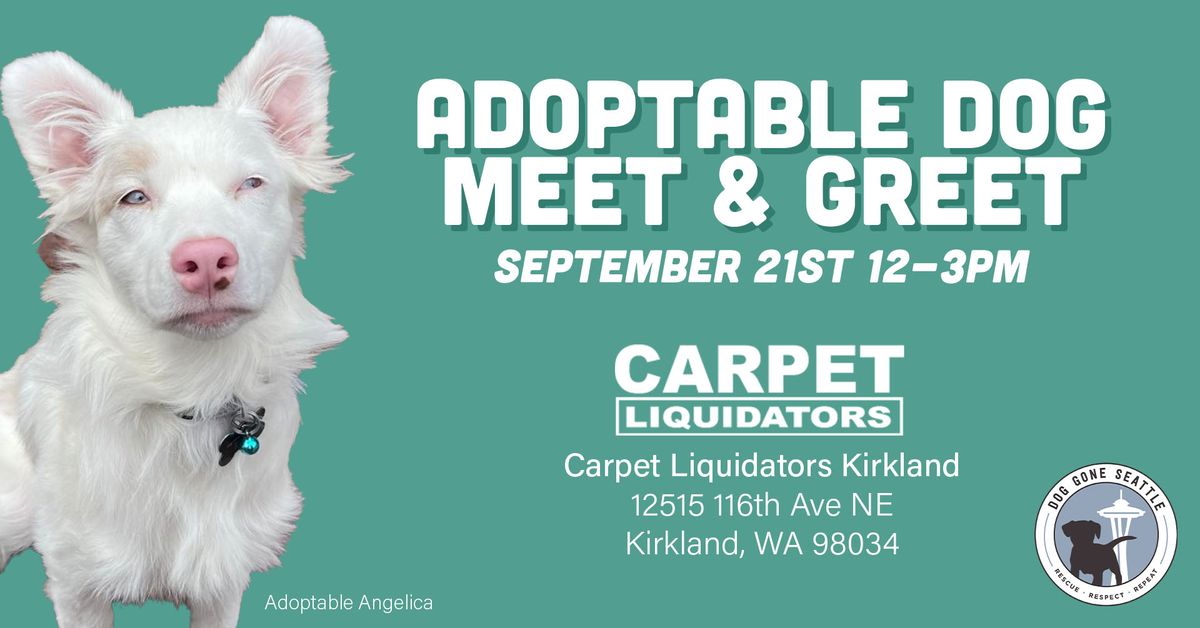 Adoptable Dog Meet & Greet