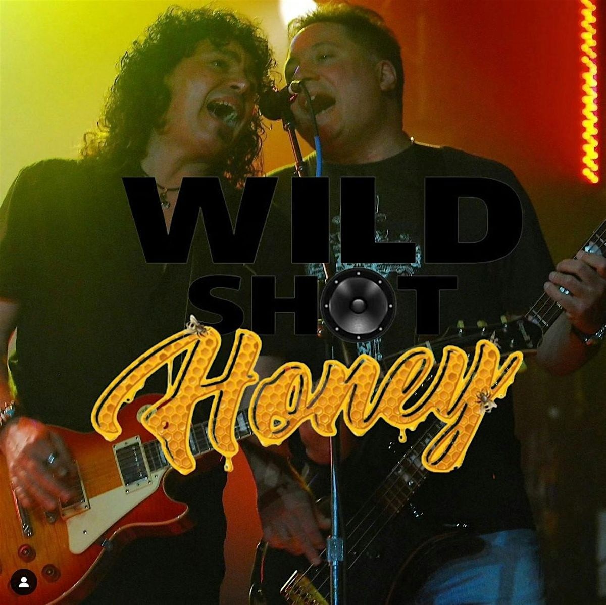 WILD SHOT HONEY band Live at the cat's cradle