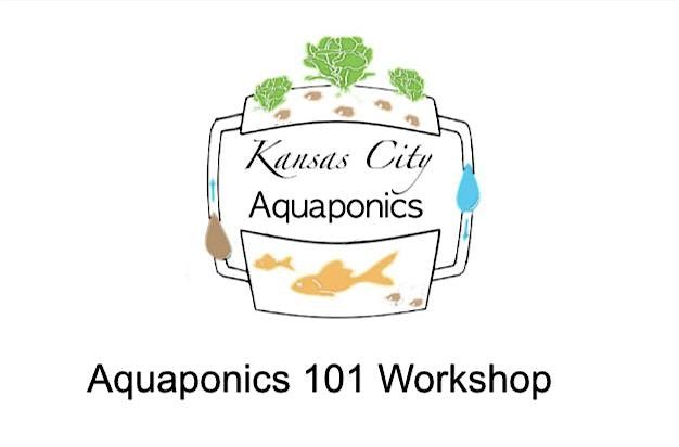 Aquaponics 101 Build Workshop