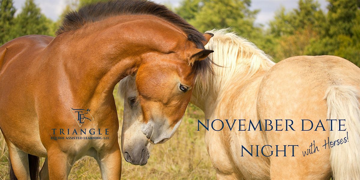 November  Date Night with Horses!