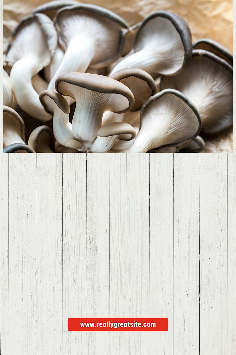 How to Grow Oyster Mushrooms, In-Person Class