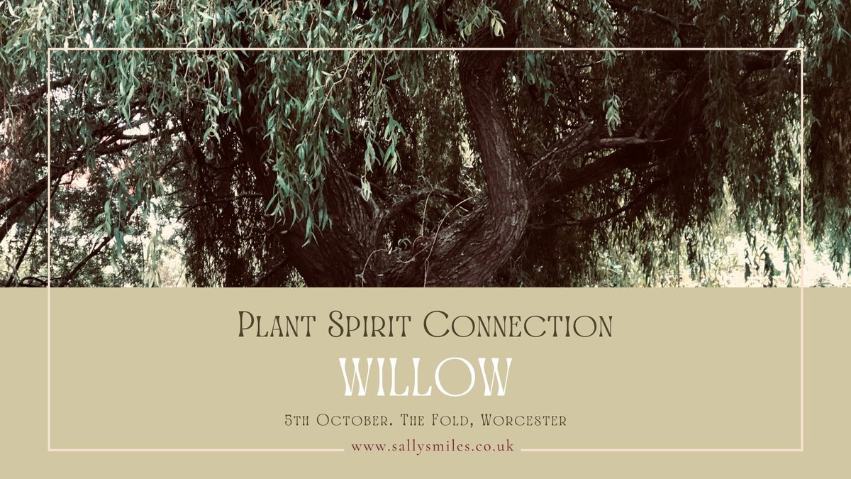 Plant Spirit Connection. Willow