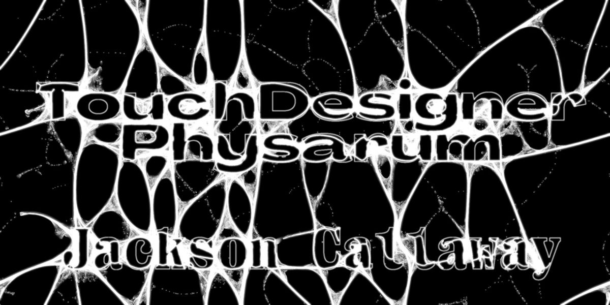 Physarum Particle System with TouchDesigner and GLSL