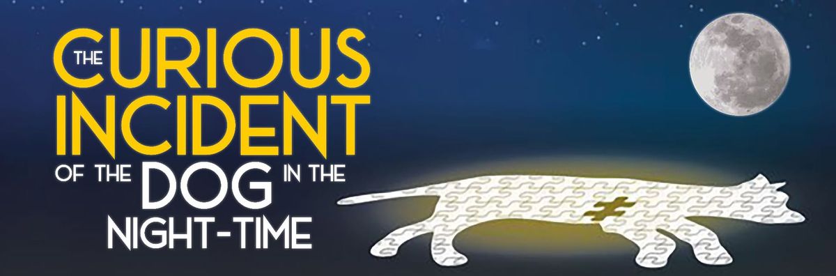 The Curious Incident of the Dog in the Night-Time