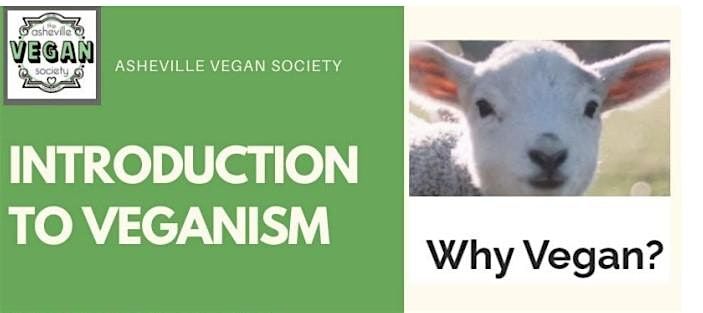 Why Vegan? A Fun & Informative Group Discussion on All Things Vegan