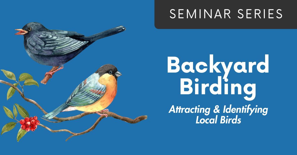 Seminar | Backyard Birding: Attracting and Identifying Local Birds