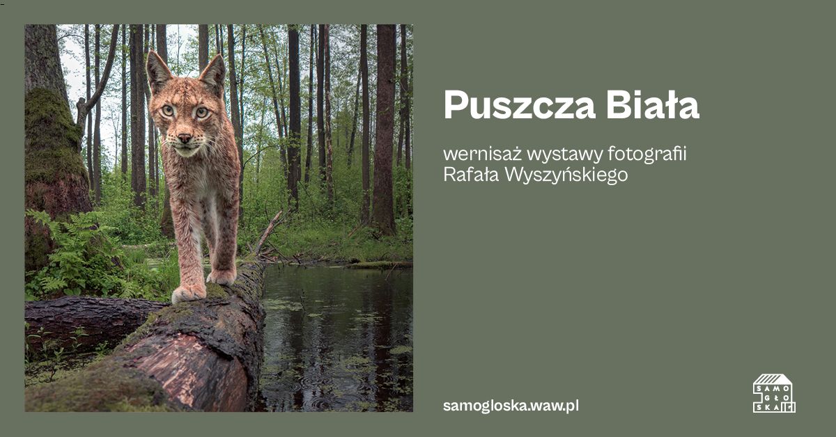 Puszcza Bia\u0142a - wernisa\u017c wystawy fotografii Rafa\u0142a Wyszy\u0144skiego