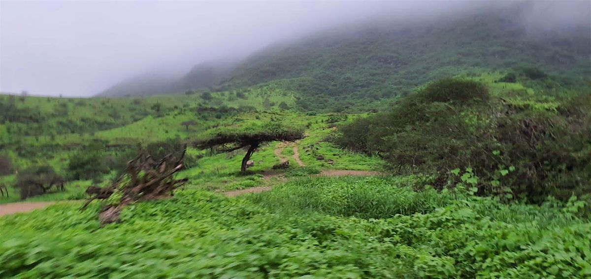 Khareef Salalah highlights in a weekend