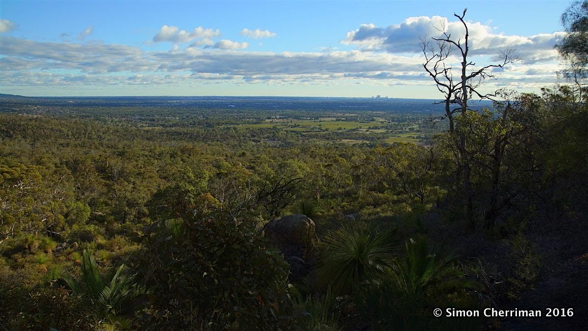 What Have We Got to Lose? Why and How Biodiversity Will Help Your Health