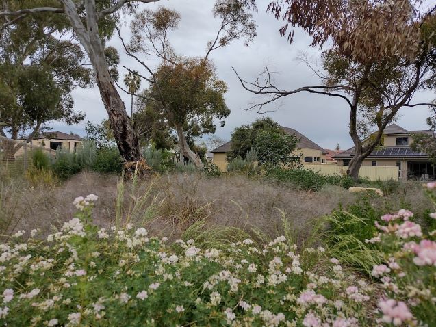 Fordham Reserve - winter working bee