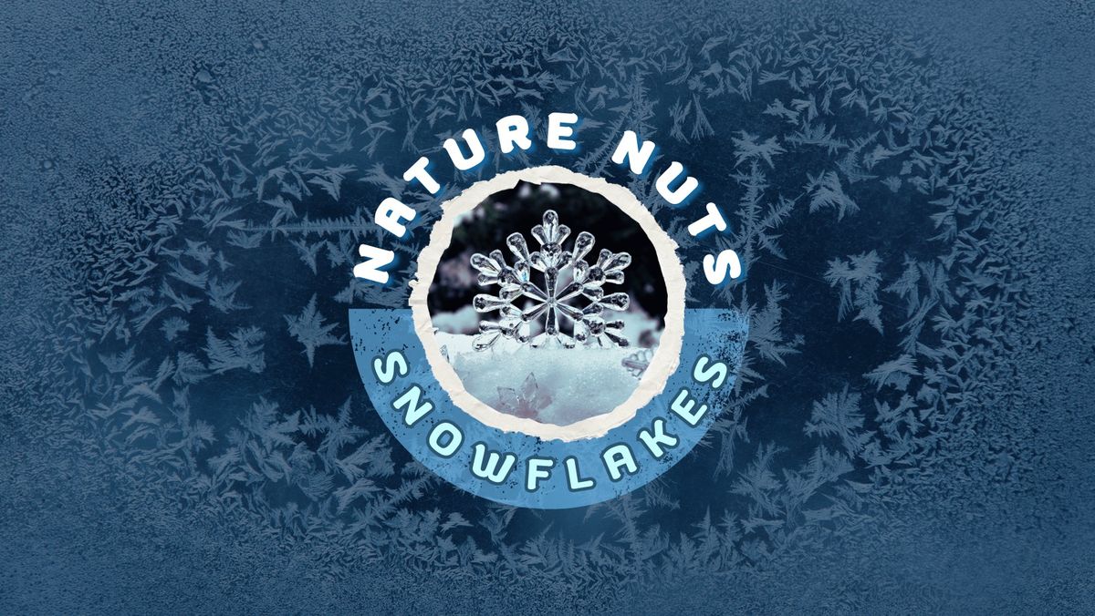 Nature Nuts: Snowflakes