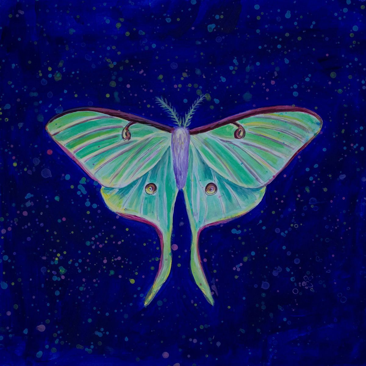 Creative Moth and   Butterfly Painting Workshop