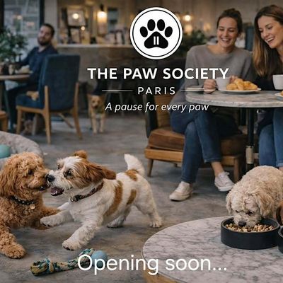 The Paw Society - Paris
