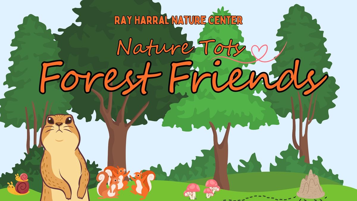 Nature Tots - Forest Friends