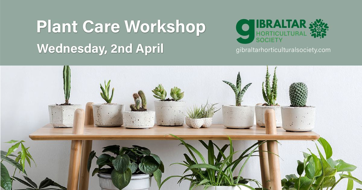 Plant Care Workshop