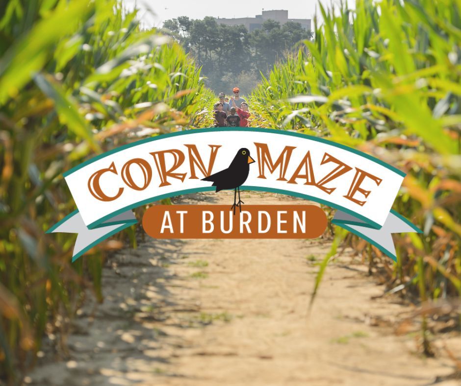 Corn Maze at Burden