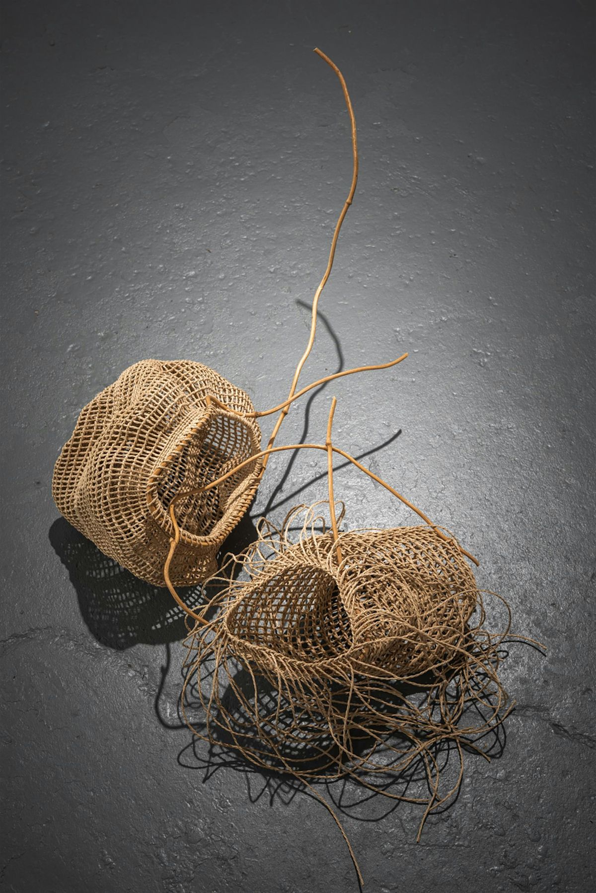 Bush Fibre Basketry with Lissa de Sailles