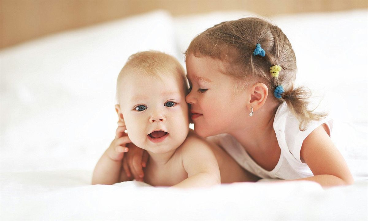 Infant & Toddler Foundations Training - Social & Emotional  (ITSN Series)