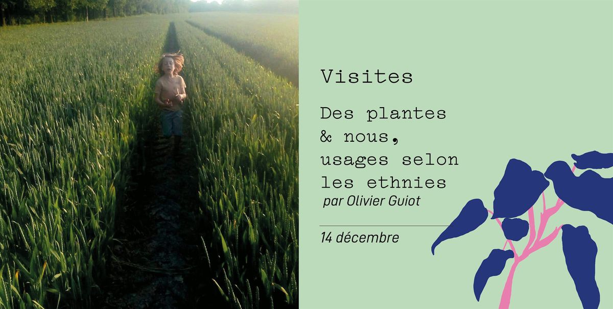 Des plantes & nous, usages selon les ethnies