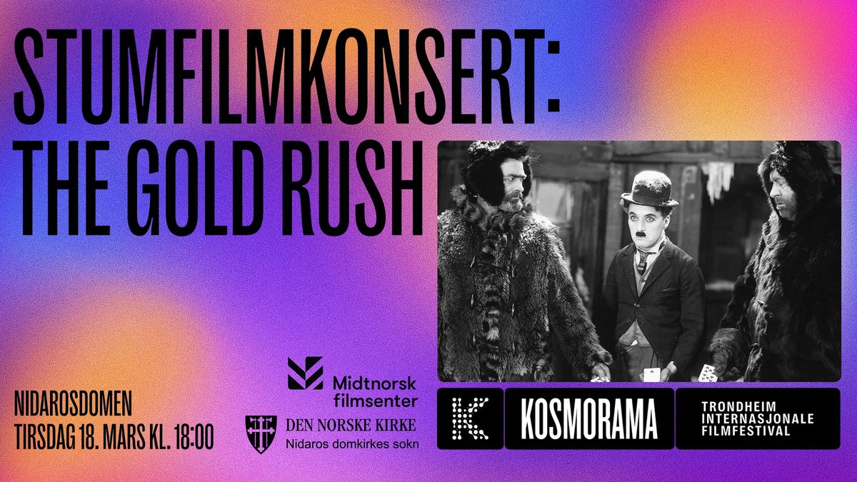 Stumfilmkonsert: The Gold Rush i Nidarosdomen