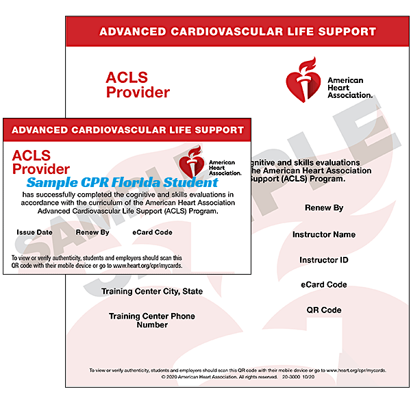 BLS and ACLS and PALS Classes in Miami