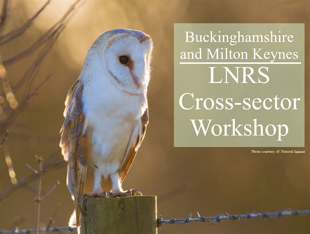 LNRS Workshop: Invite for General public and Other