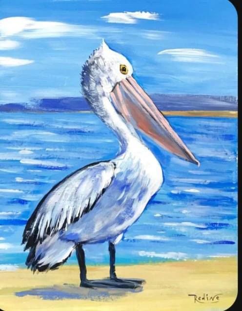 Beachy Pelican (Daniel Island)