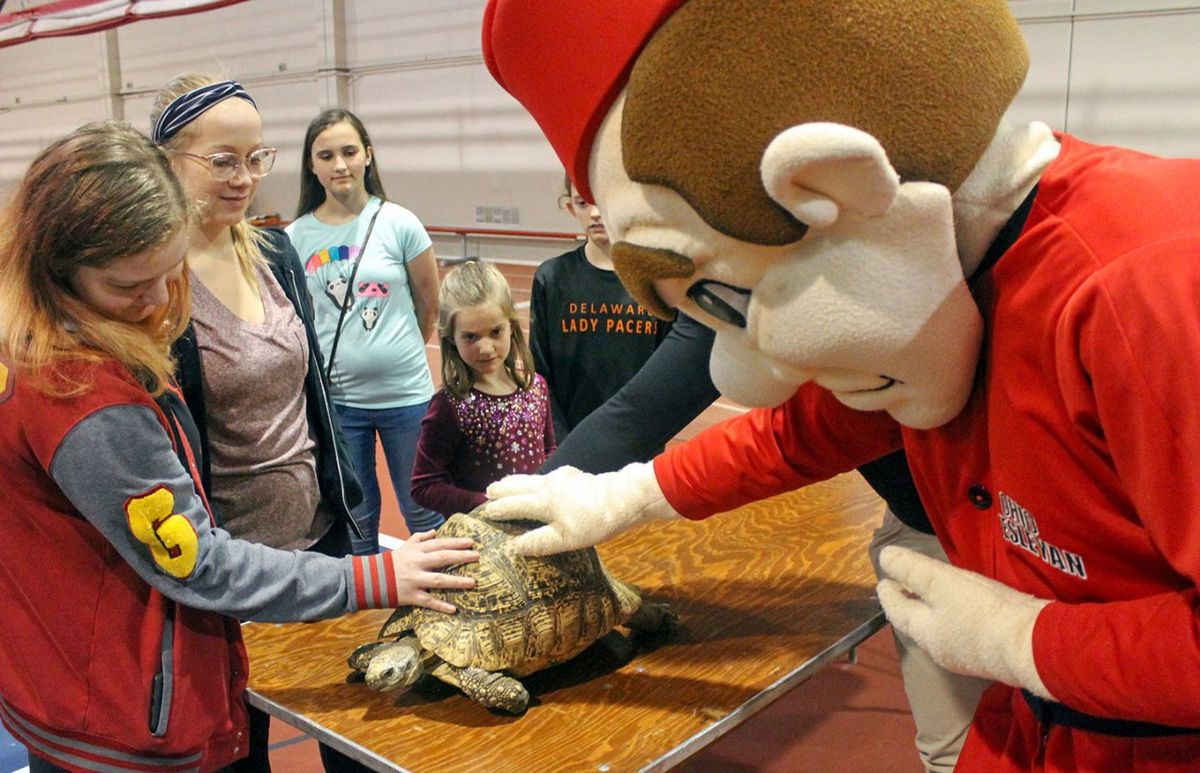Ohio Wesleyan Battling Bishops at Ohio Bobcats Mens Basketball at Ohio Convocation Center