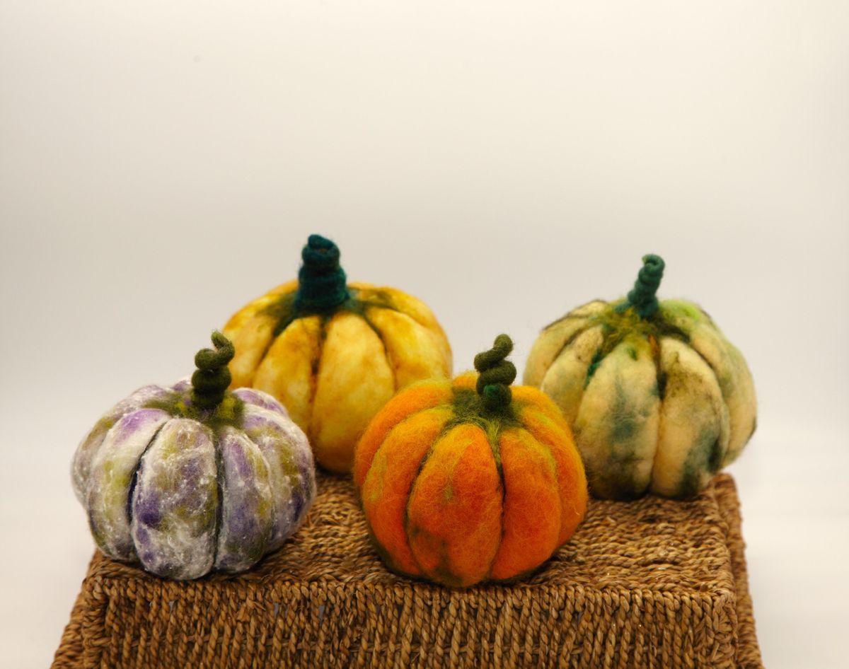 Winter Pumpkin Needle Felting Workshop