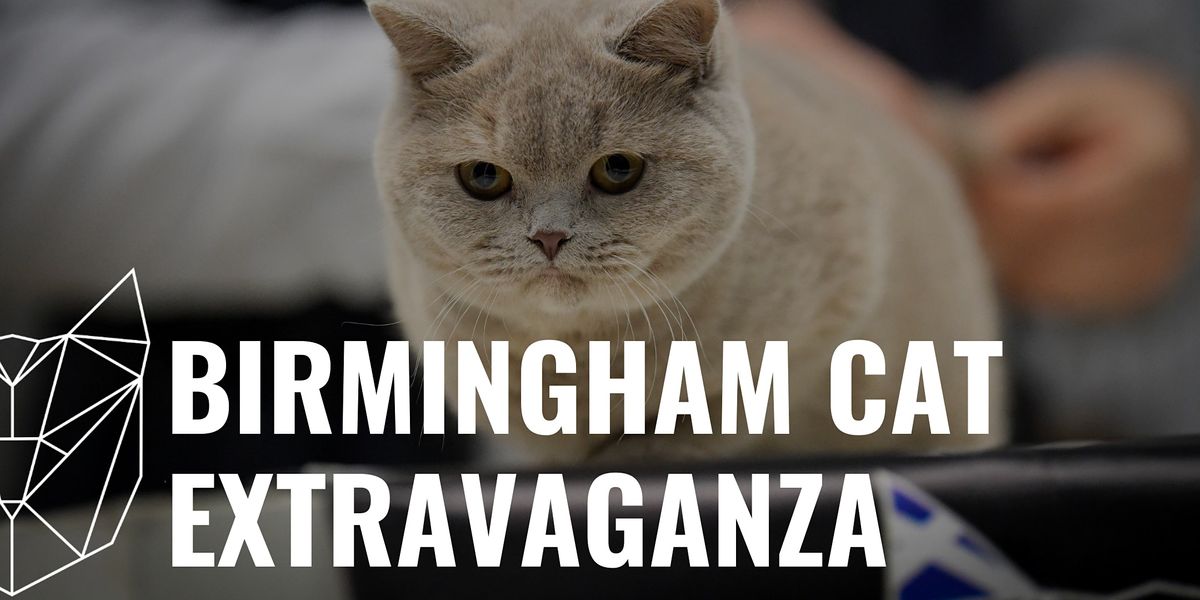 Birmingham Cat Extravaganza