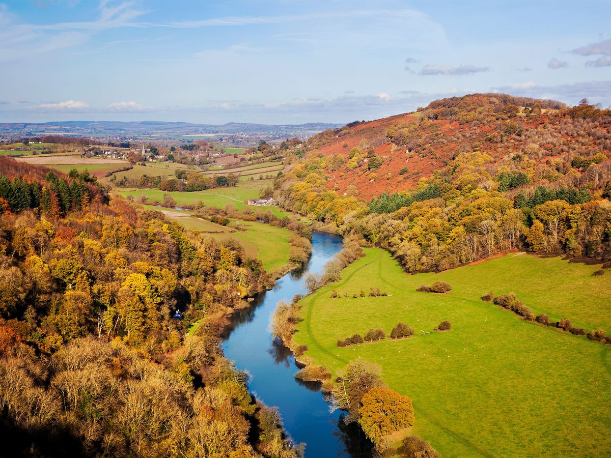 Break for the Border: Wye Gorge, King Arthur's Cave & Symonds Yat