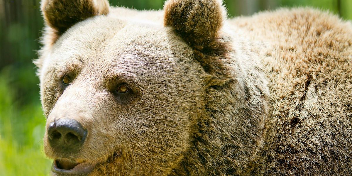 Fotokurs Tierfotografie in der Wilhelma