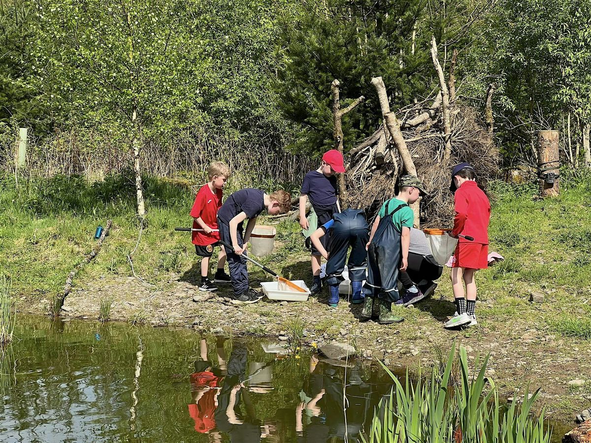 Summer Nature Club - Pond Dipping