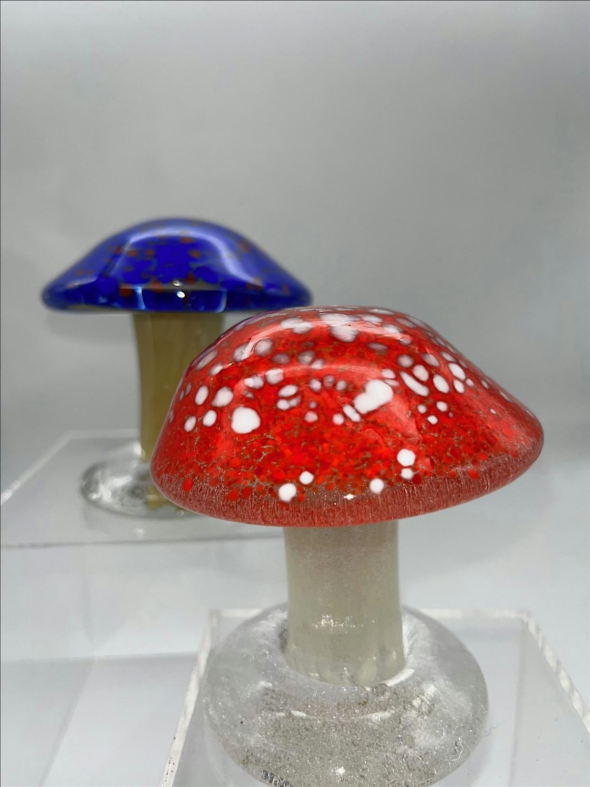 Holy Fungus!!...made out of Hot Glass!! Create your own magic mushroom.