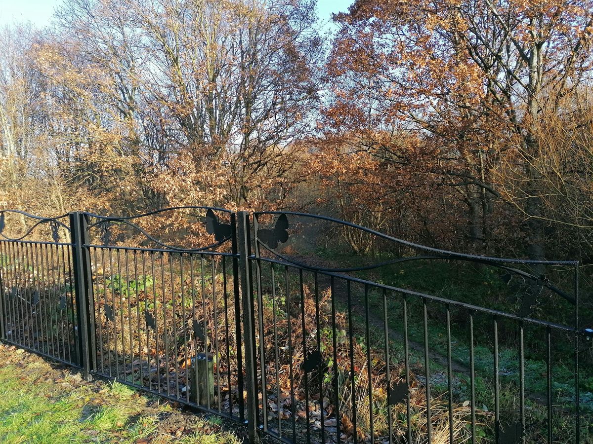 Carbrook Ravine Volunteer Work Morning