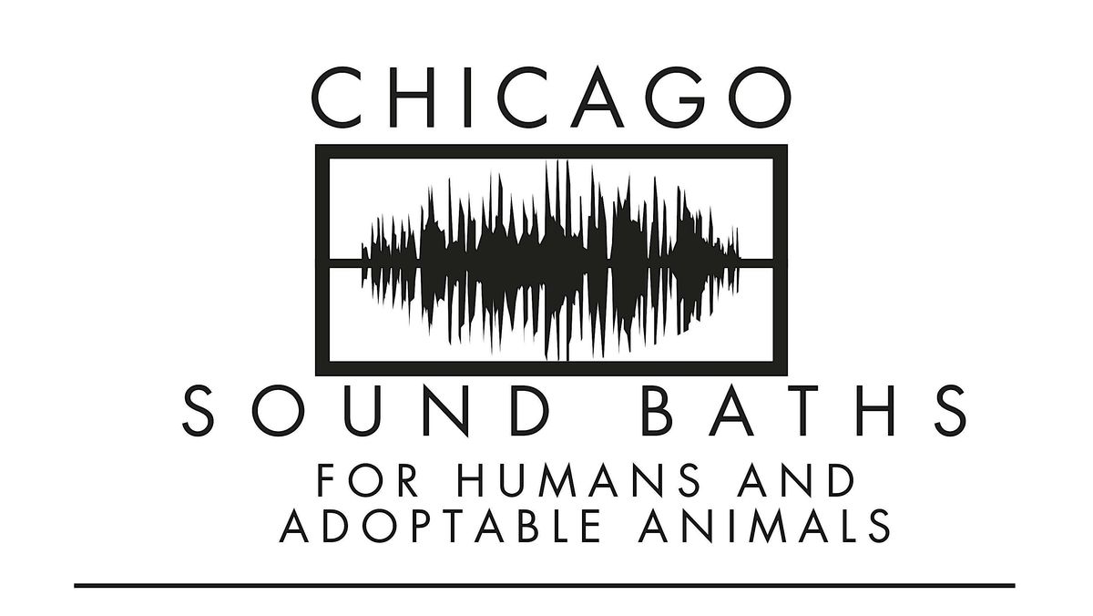 Chicago Sound Bath With Adoptable Animals!