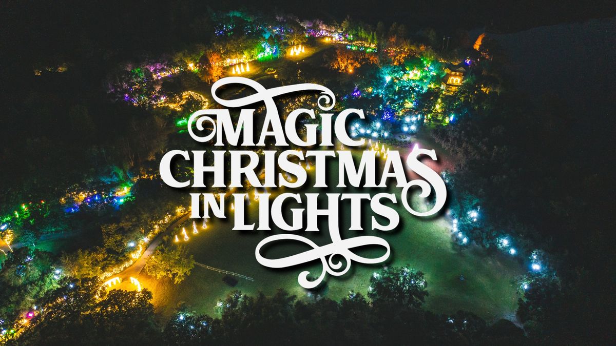 Magic Christmas in Lights