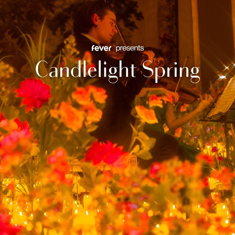 Candlelight Spring : Musiques d'Anim\u00e9s