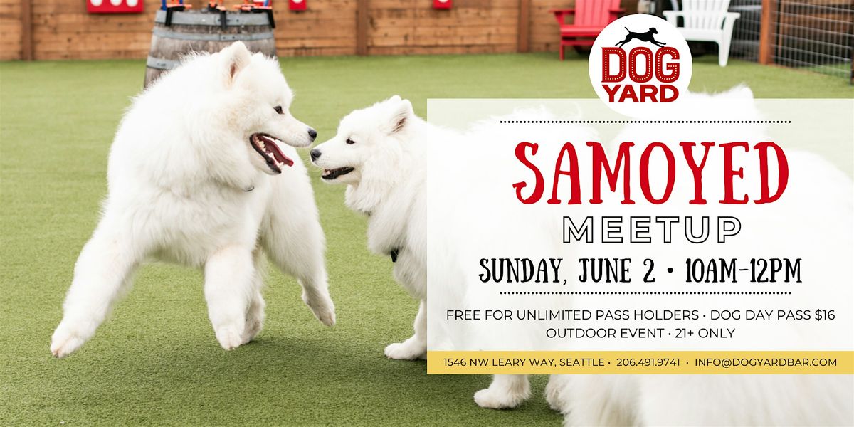 Samoyed Meetup at the Dog Yard Bar - Sunday, June 2
