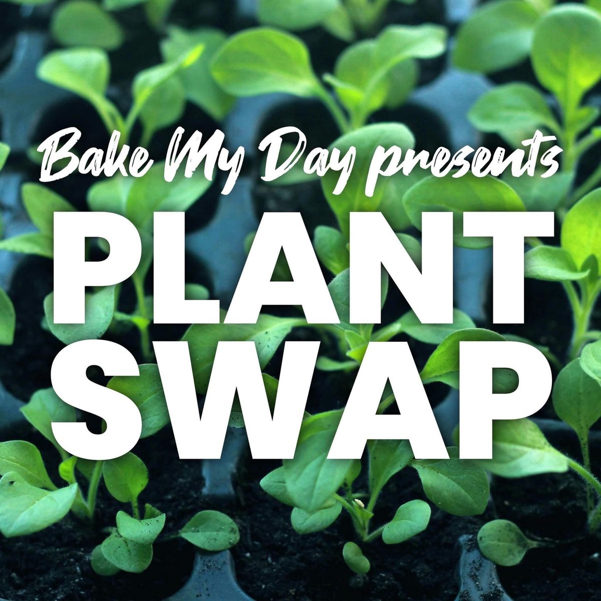 Plant and Propagation Swap