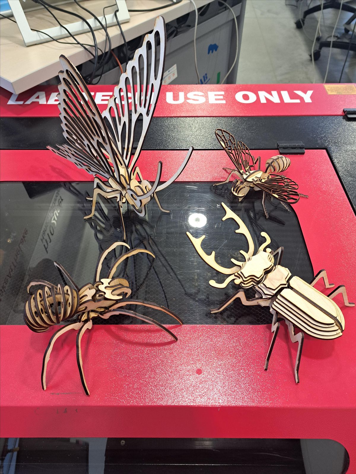 BUGGIN' in the Fab Lab Summer Camp- BUG LAB, science 3D laser cutting vinyl